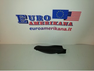 Side Cover (right)